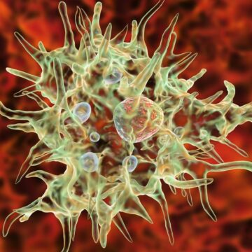Understanding Naegleria Fowleri
